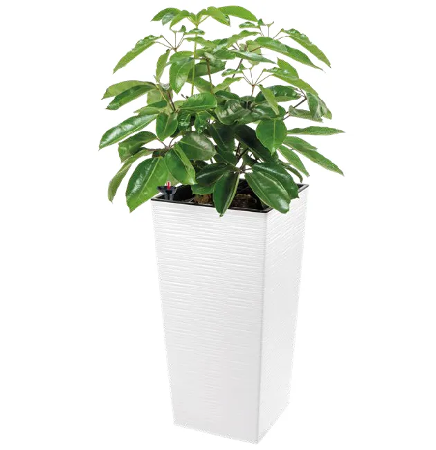 maceta_cuadrada_estilo_piedra_40x40x76_cm_c_sist_riego_jr-100.webp