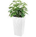 maceta_cuadrada_estilo_piedra_40x40x76_cm_c_sist_riego_jr-100.webp